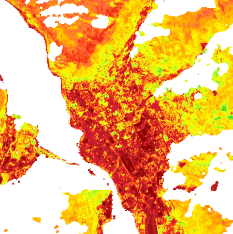 NDVI